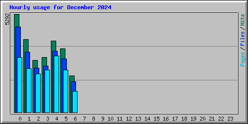 Hourly usage for December 2024