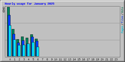 Hourly usage for January 2025