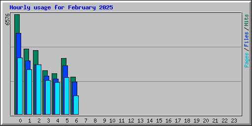 Hourly usage for February 2025