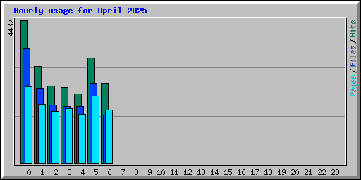 Hourly usage for April 2025
