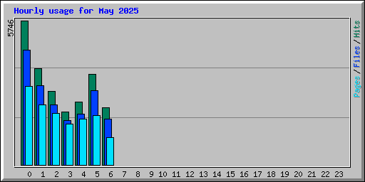 Hourly usage for May 2025