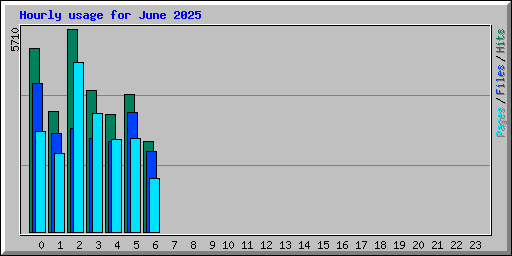 Hourly usage for June 2025