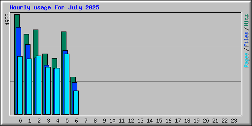 Hourly usage for July 2025