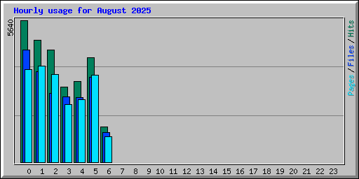 Hourly usage for August 2025