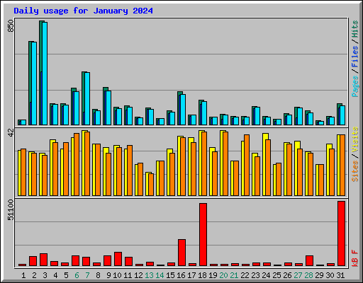 Daily usage for January 2024