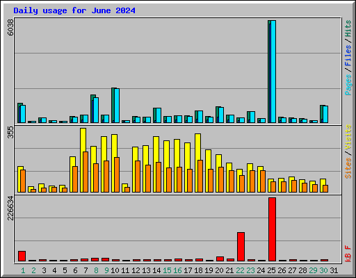 Daily usage for June 2024