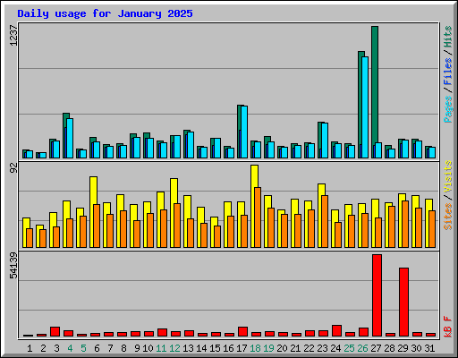 Daily usage for January 2025