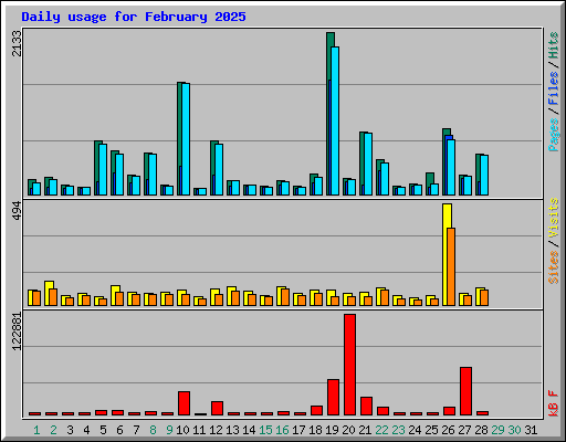 Daily usage for February 2025