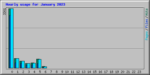 Hourly usage for January 2023
