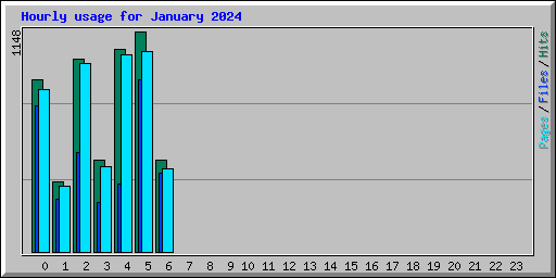 Hourly usage for January 2024