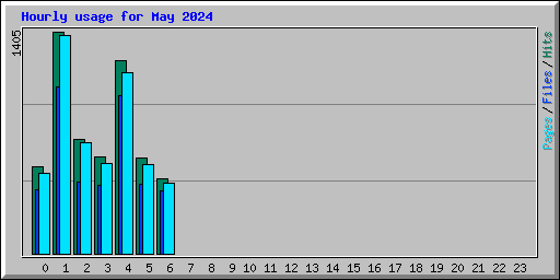 Hourly usage for May 2024