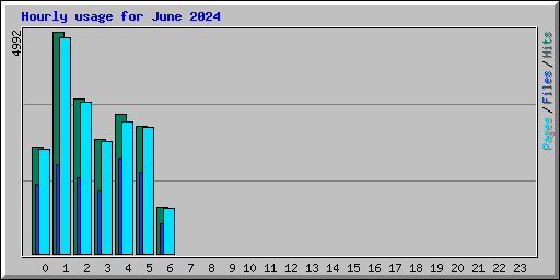 Hourly usage for June 2024