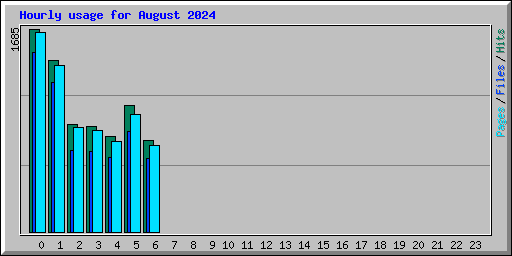 Hourly usage for August 2024