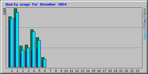 Hourly usage for December 2024