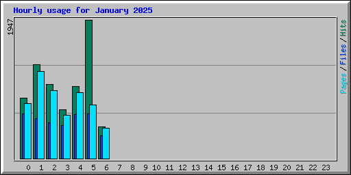 Hourly usage for January 2025
