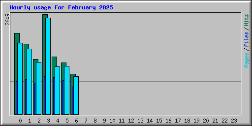 Hourly usage for February 2025