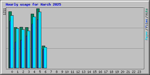 Hourly usage for March 2025