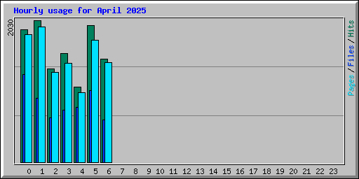 Hourly usage for April 2025