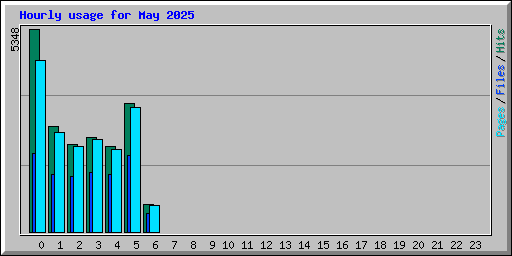 Hourly usage for May 2025