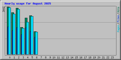 Hourly usage for August 2025