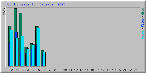 Hourly usage for December 2025