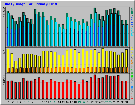 Daily usage for January 2019