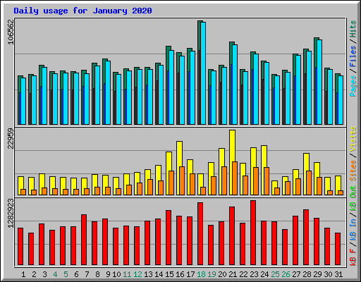 Daily usage for January 2020