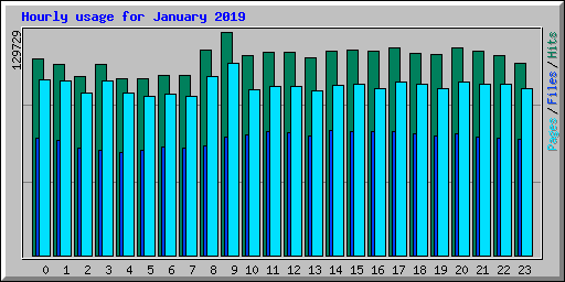 Hourly usage for January 2019