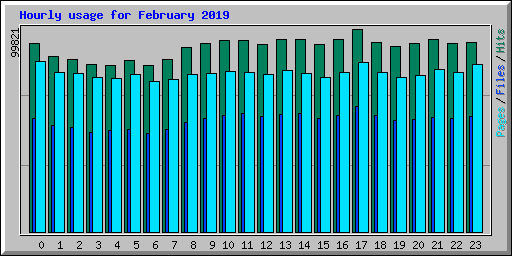 Hourly usage for February 2019