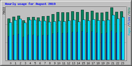 Hourly usage for August 2019