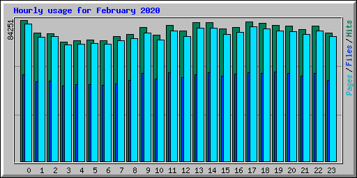 Hourly usage for February 2020
