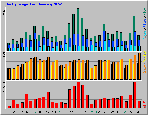 Daily usage for January 2024