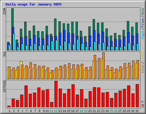 Daily usage for January 2025