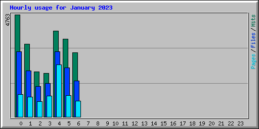Hourly usage for January 2023