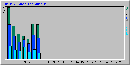 Hourly usage for June 2023