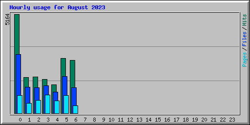Hourly usage for August 2023