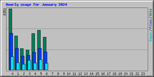 Hourly usage for January 2024