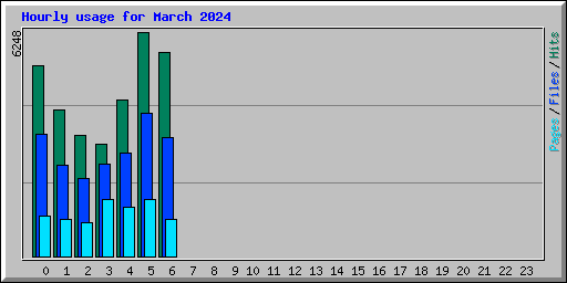 Hourly usage for March 2024
