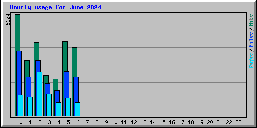Hourly usage for June 2024