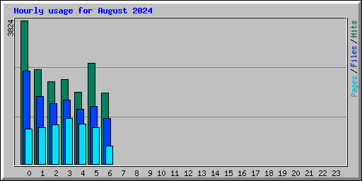 Hourly usage for August 2024