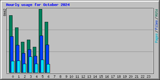 Hourly usage for October 2024