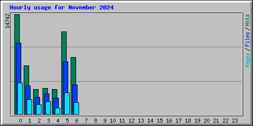 Hourly usage for November 2024