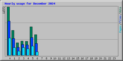 Hourly usage for December 2024