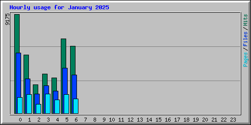 Hourly usage for January 2025