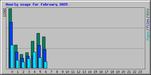 Hourly usage for February 2025