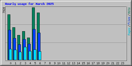 Hourly usage for March 2025