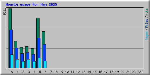 Hourly usage for May 2025