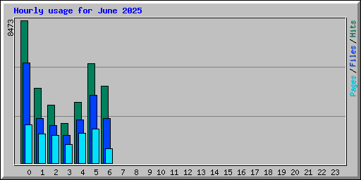 Hourly usage for June 2025
