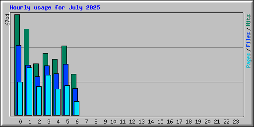 Hourly usage for July 2025