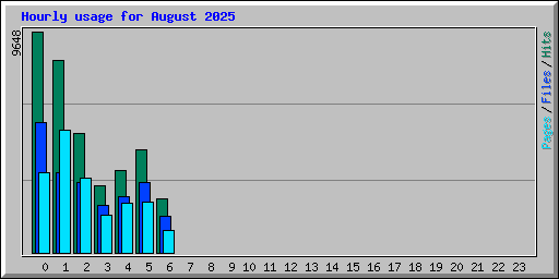 Hourly usage for August 2025